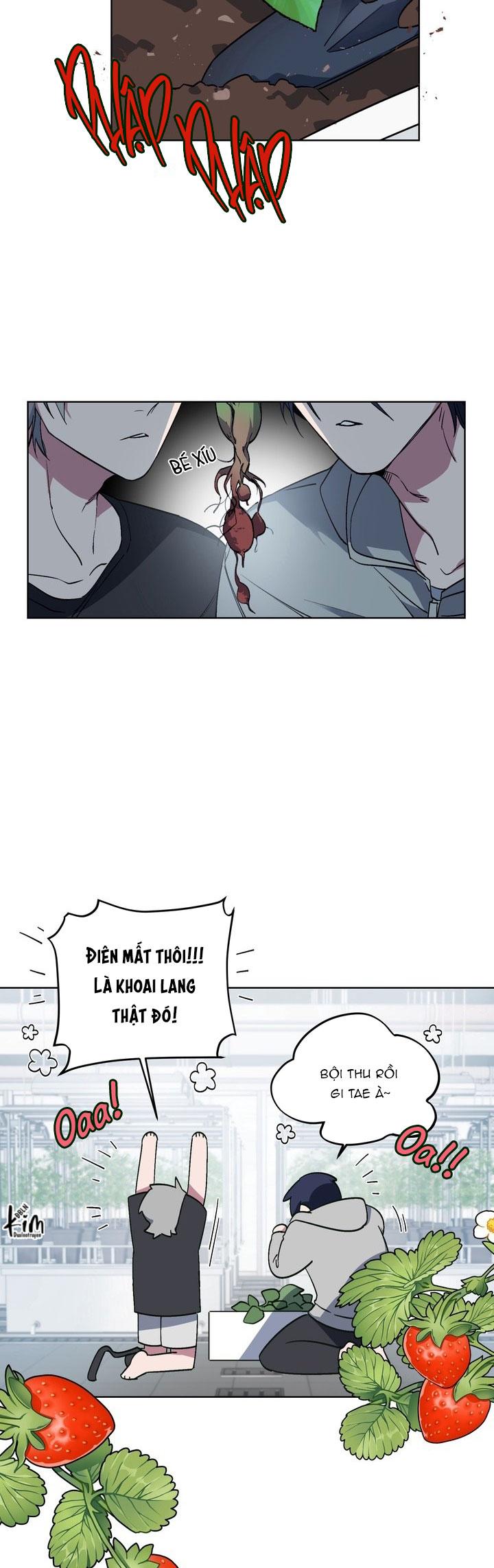 Room Without Windows - Chap 17