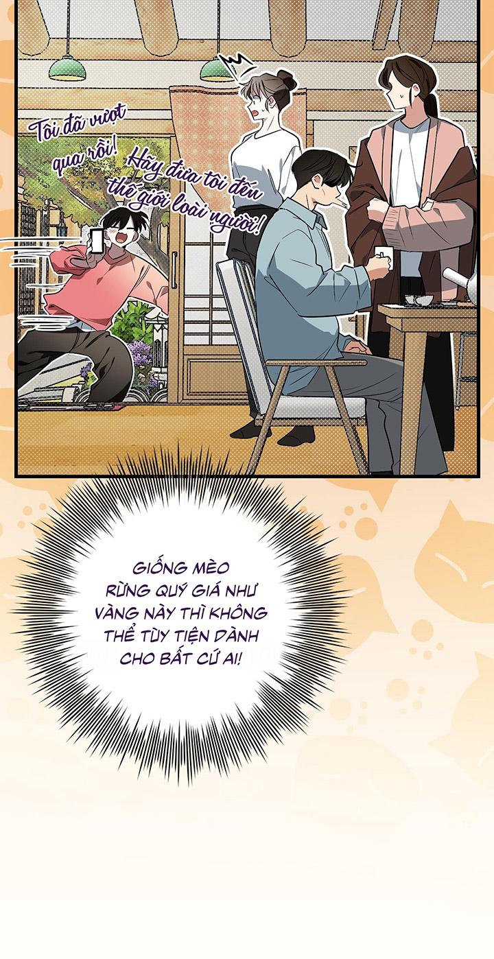 [DDT] HÃY SINH NHẤT MIÊU HÀI WILDCAT, NHƯ BẤT DỤC KIẾN NGÃ PHÁT CUỒNG! - Chap 1