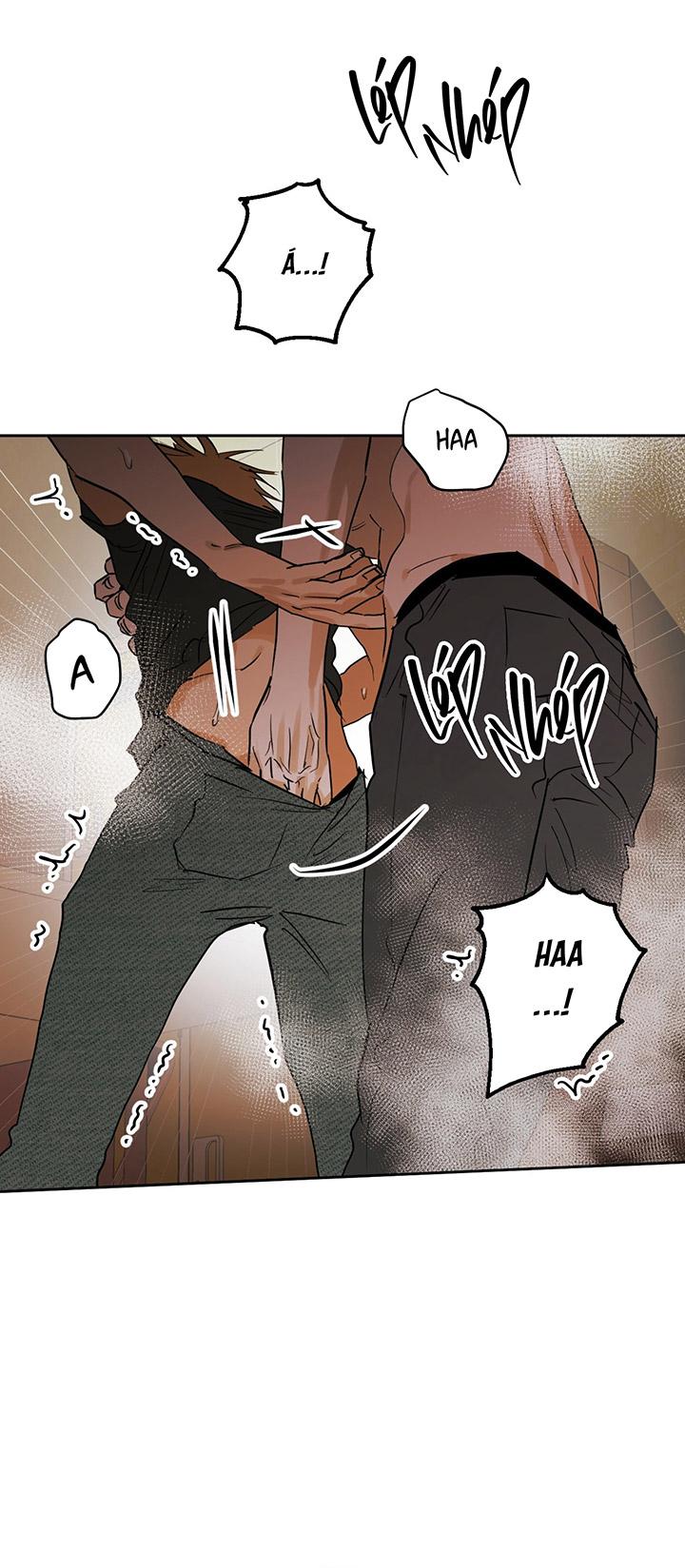 Phiên Bản Hoàn Hảo - Chap 1