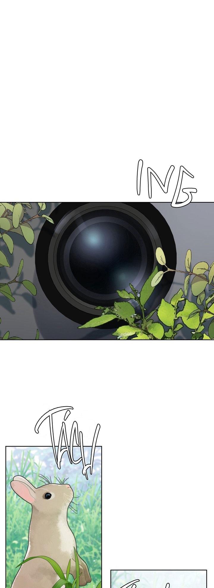 Room Without Windows - Chap 17