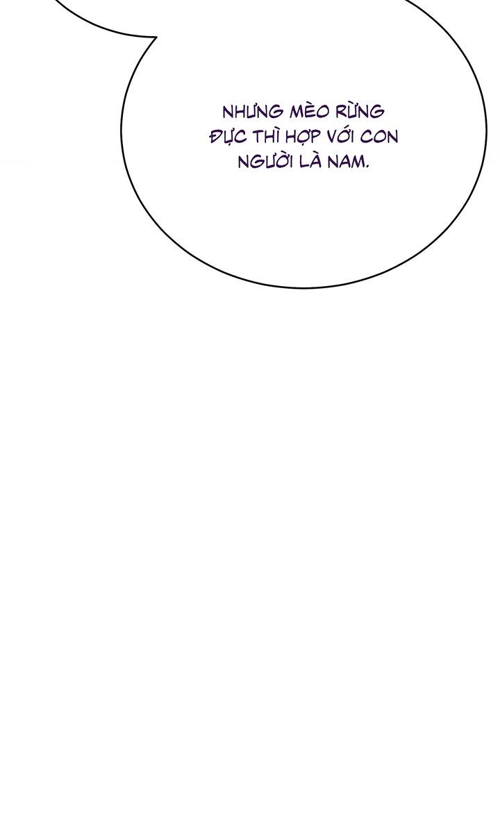 [DDT] HÃY SINH NHẤT MIÊU HÀI WILDCAT, NHƯ BẤT DỤC KIẾN NGÃ PHÁT CUỒNG! - Chap 1