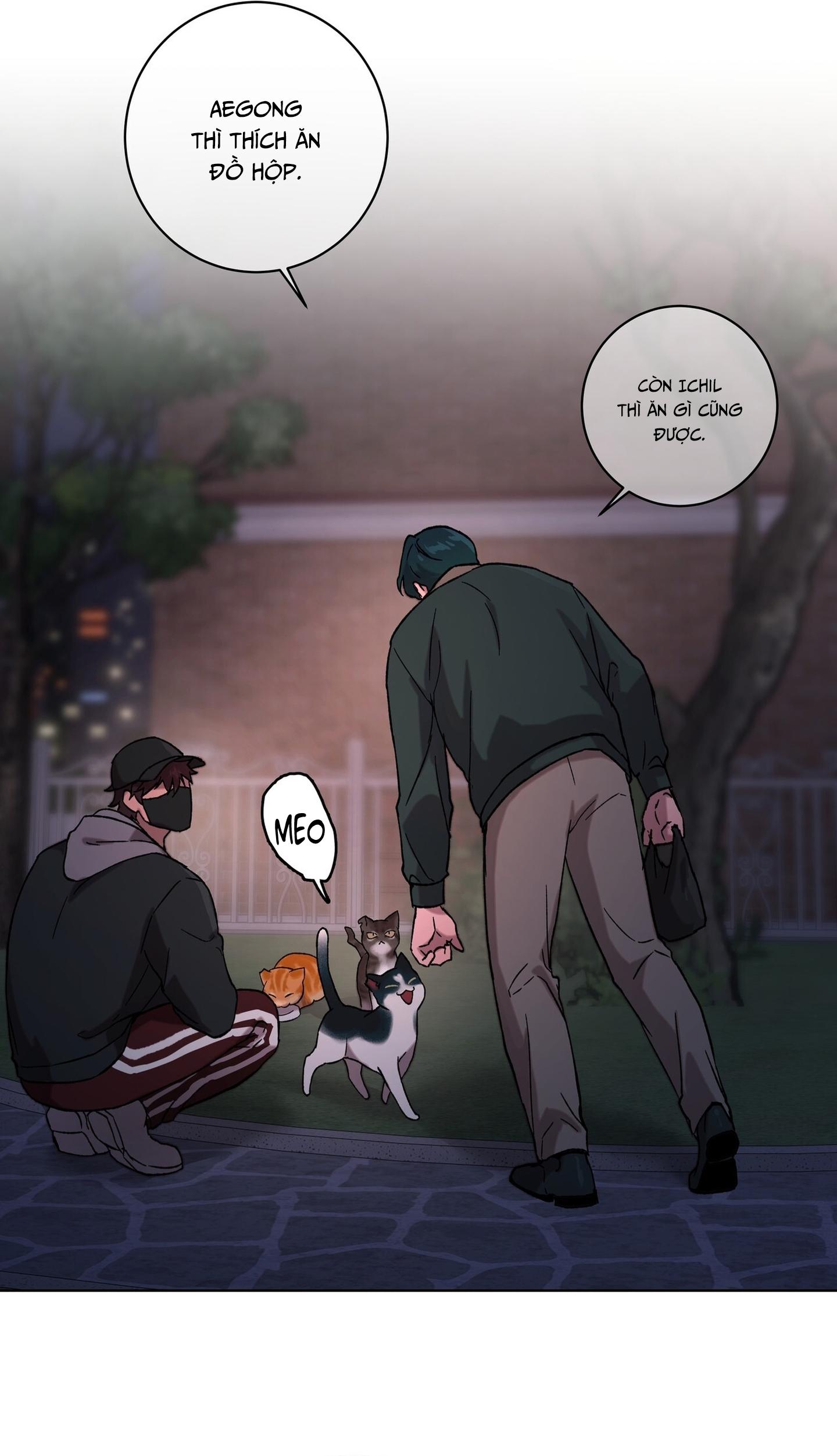 TUYỂN TẬP ÁM ẢNH, MƯU MÔ CÔNG - Chap 9.1 - Trang 21