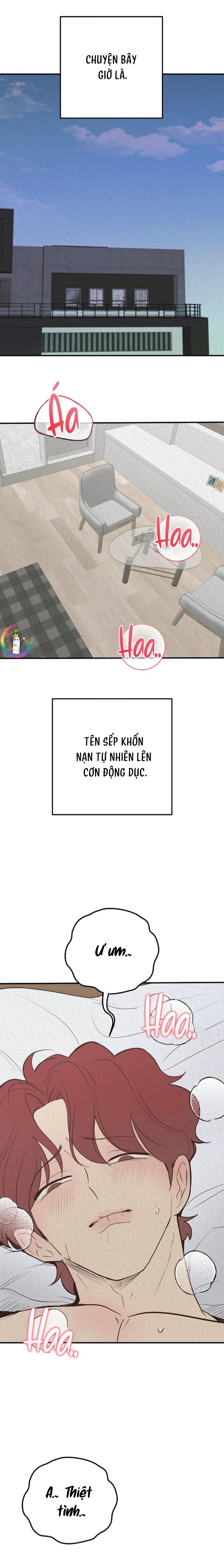 Xin Sếp Phê Duyệt Tối nay - Chap 3