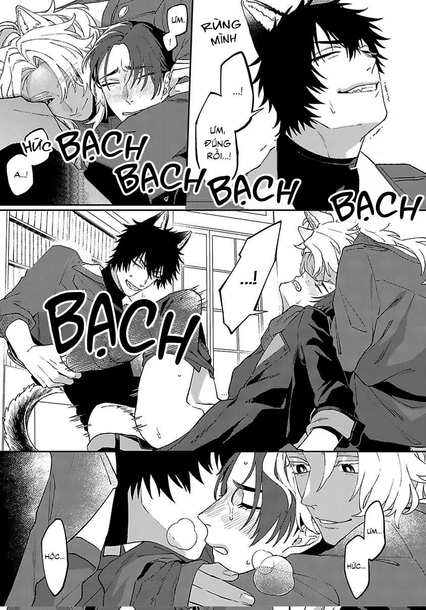 Hai Chú Chó Rắc Rối - Chap 4