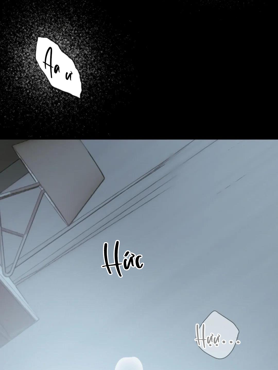 Báo Cáo Chụp Tuyến Tiền Liệt - Chap 7