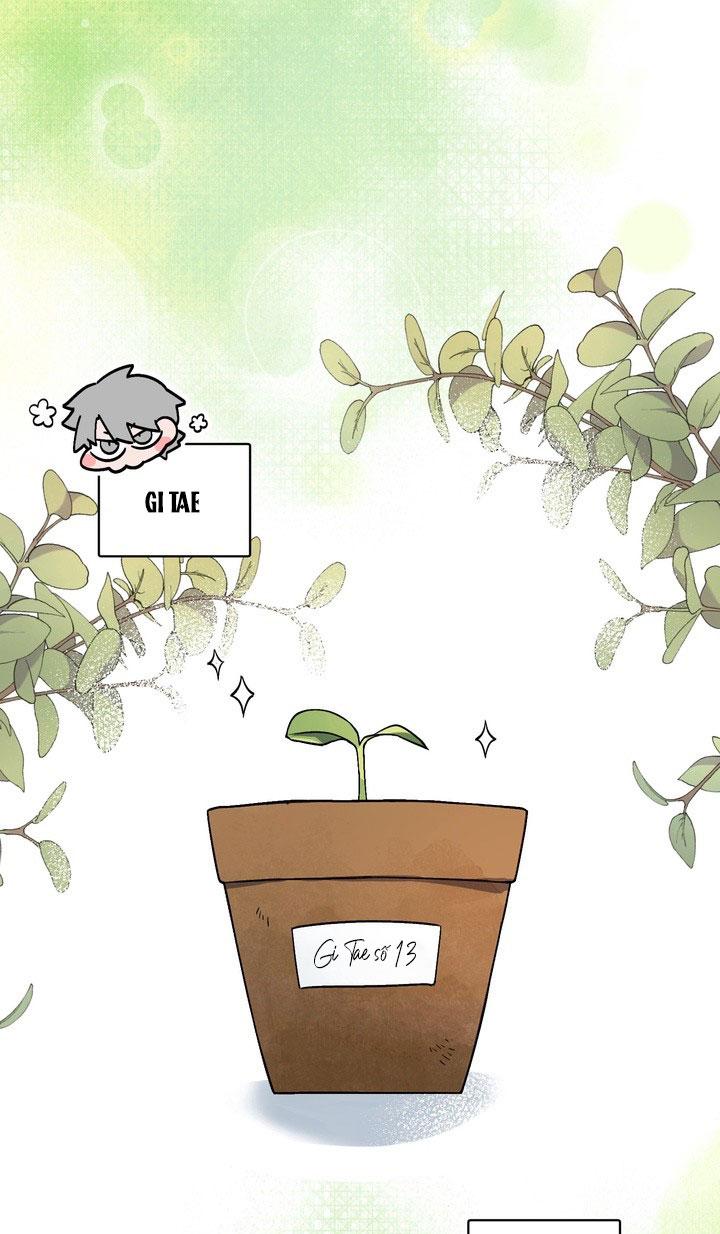 Room Without Windows - Chap 13