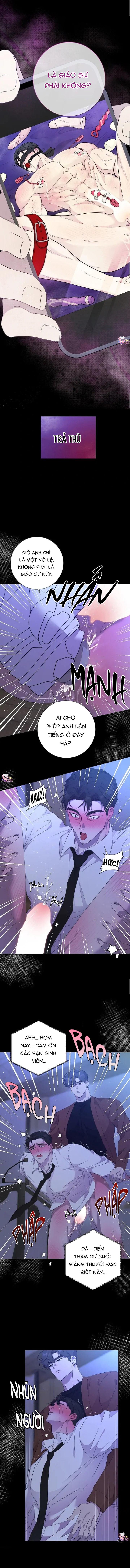 Luận Văn Thân Xác Của Giáo Sư - Chap 0