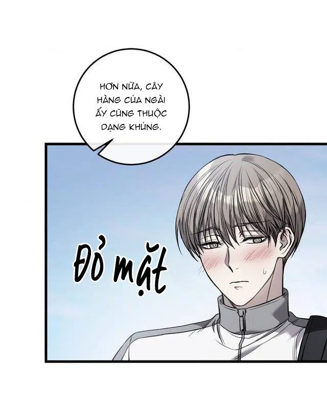 Caddie của riêng tôi - Chap 1