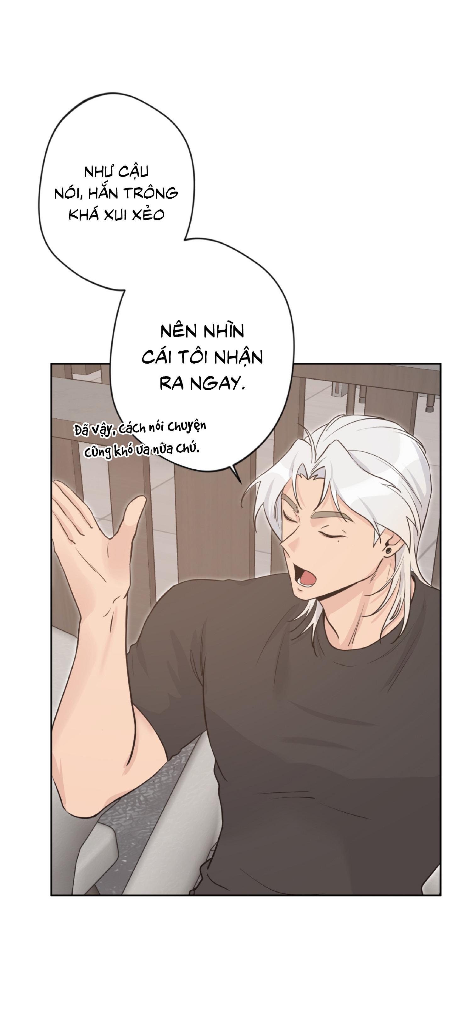 Angel kiss - Chap 15