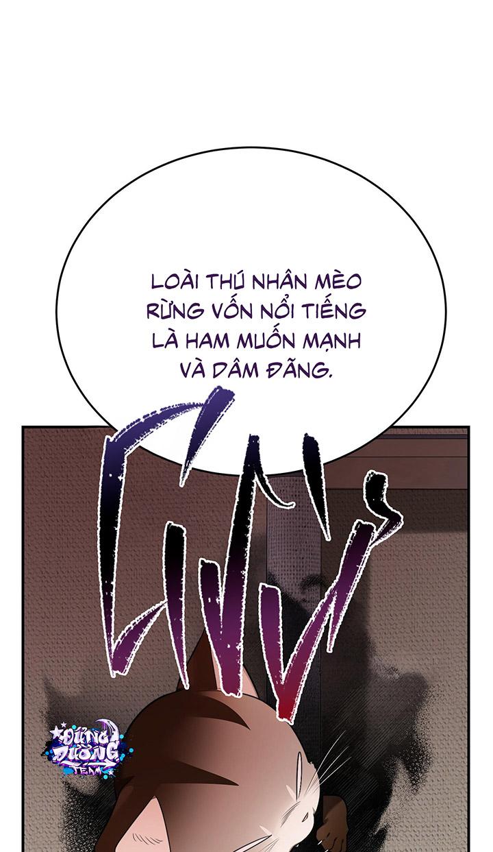 [DDT] HÃY SINH NHẤT MIÊU HÀI WILDCAT, NHƯ BẤT DỤC KIẾN NGÃ PHÁT CUỒNG! - Chap 1