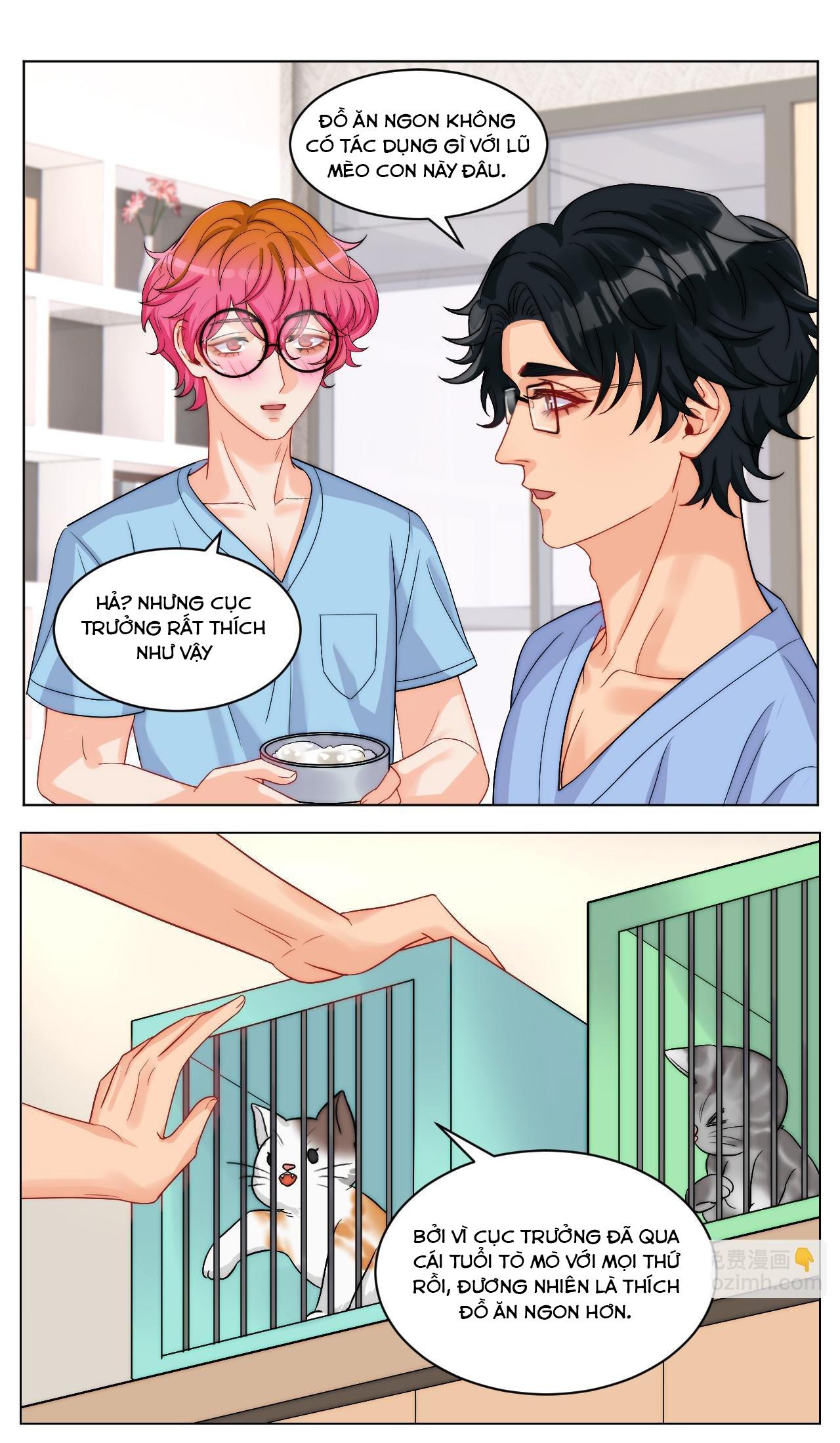 Ký túc xá nam phòng 303 - Chap 249