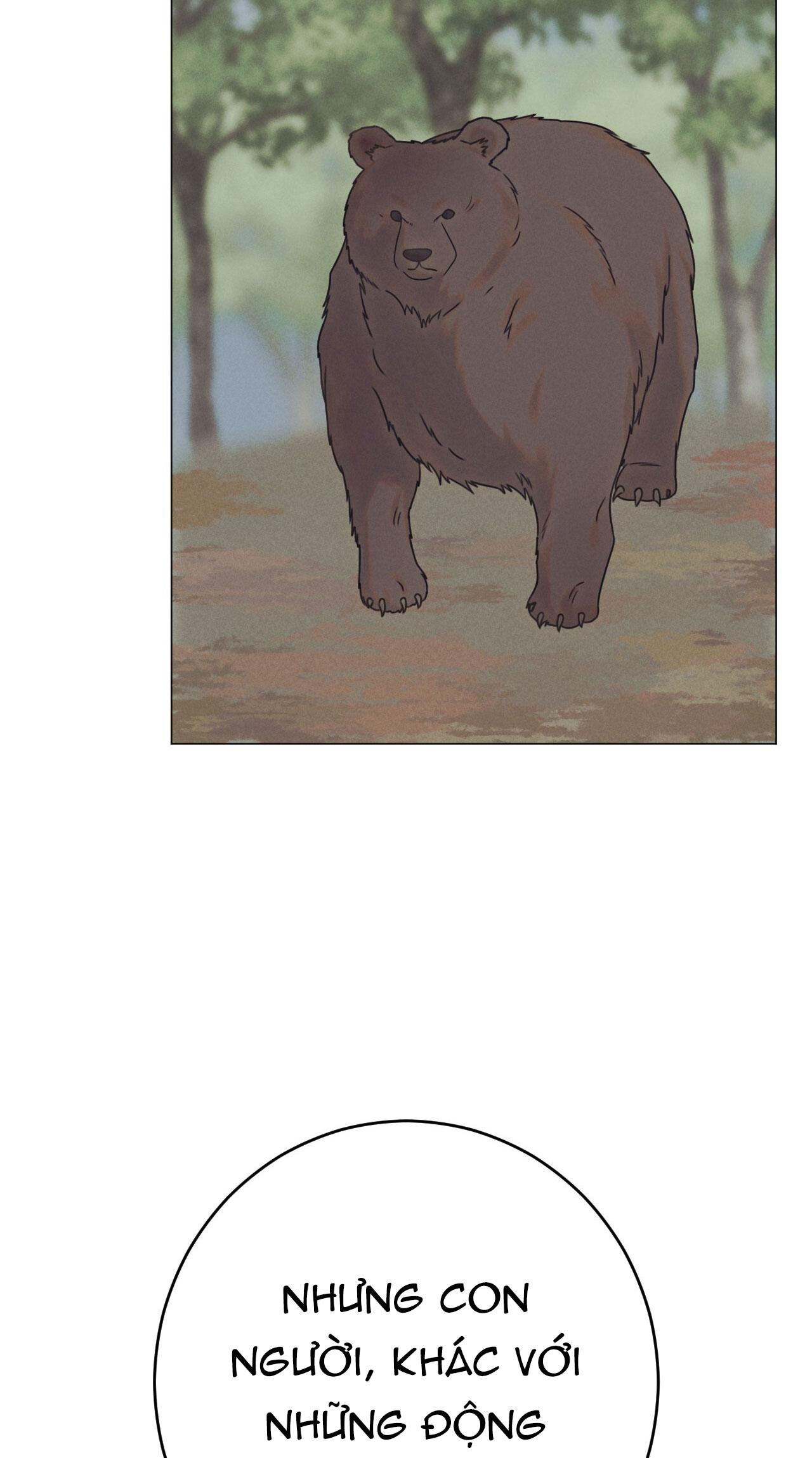 QUẺ BÓI GIẤC MƠ CỦA YÊU TINH - Chap 58