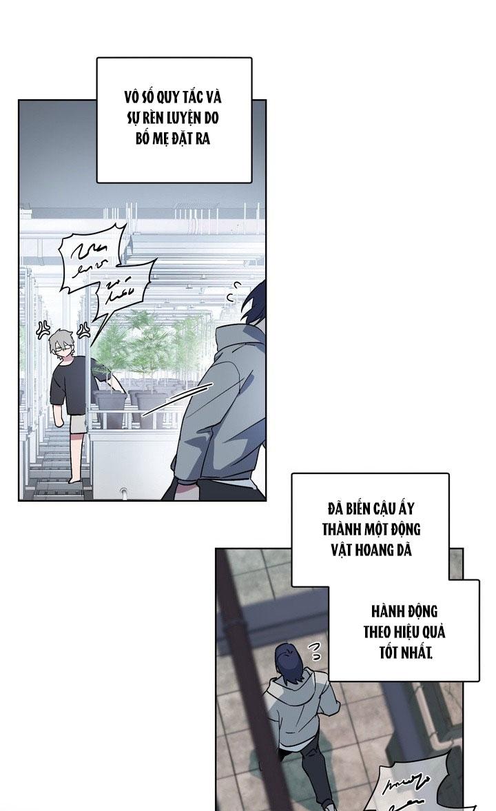 Room Without Windows - Chap 14