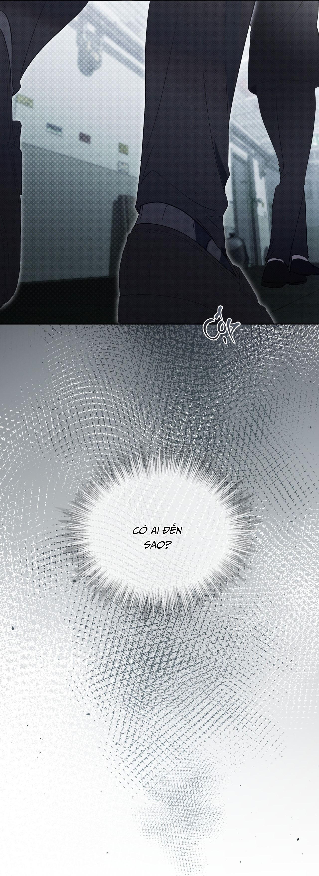 (GĐCV) HÌNH THÁI TIẾN HÓA - Chap 4