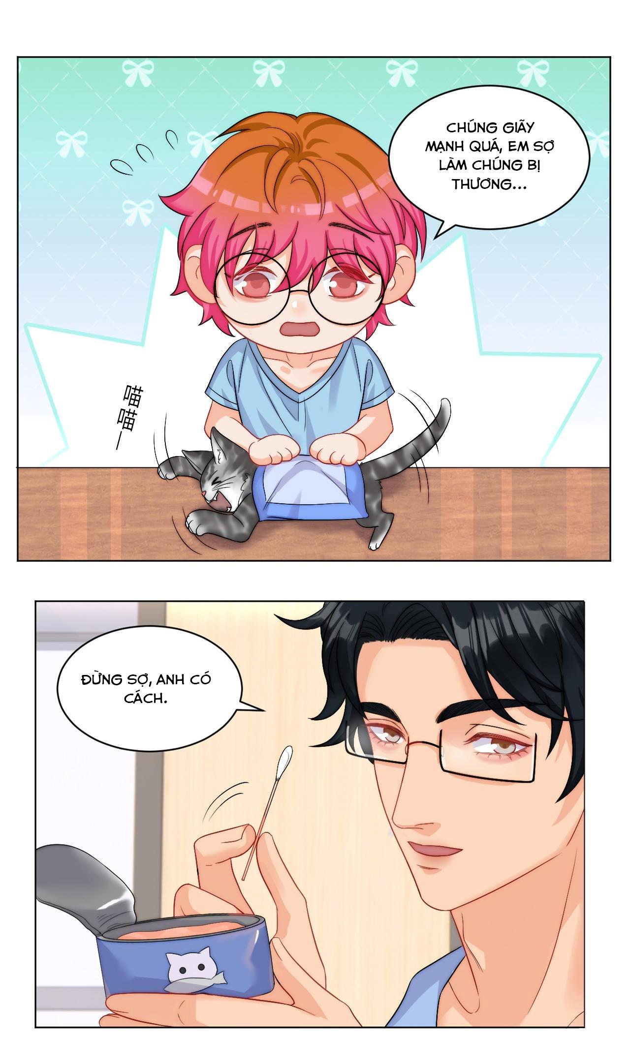 Ký túc xá nam phòng 303 - Chap 249