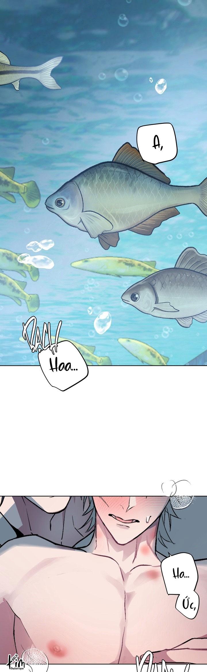 Room Without Windows - Chap 16