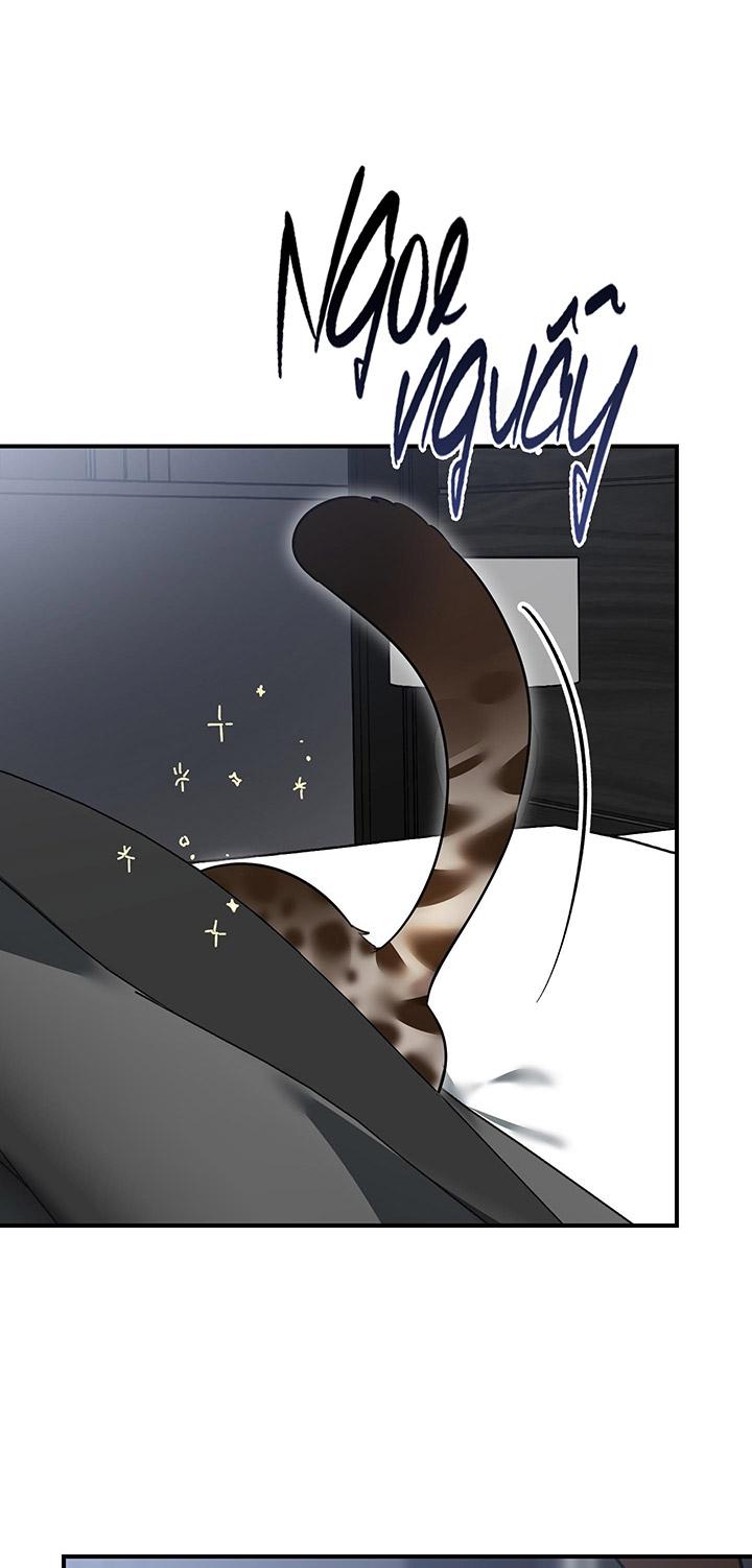 [DDT] HÃY SINH NHẤT MIÊU HÀI WILDCAT, NHƯ BẤT DỤC KIẾN NGÃ PHÁT CUỒNG! - Chap 1