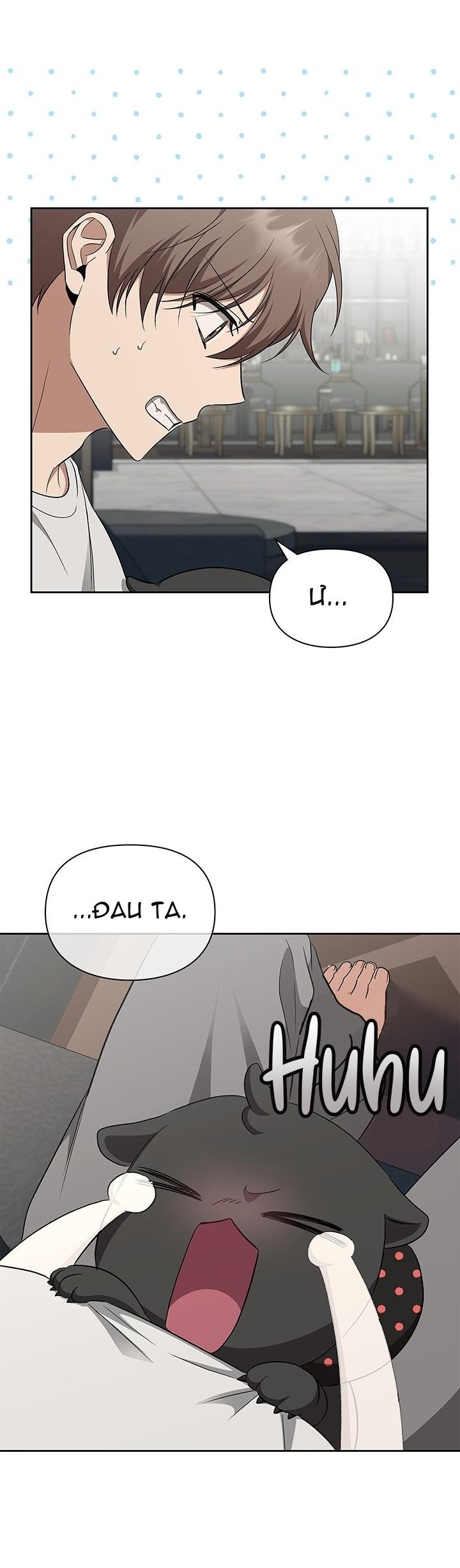 (RÔ LAI) KHỞI TẠO KẾT ẨN - Chap 15