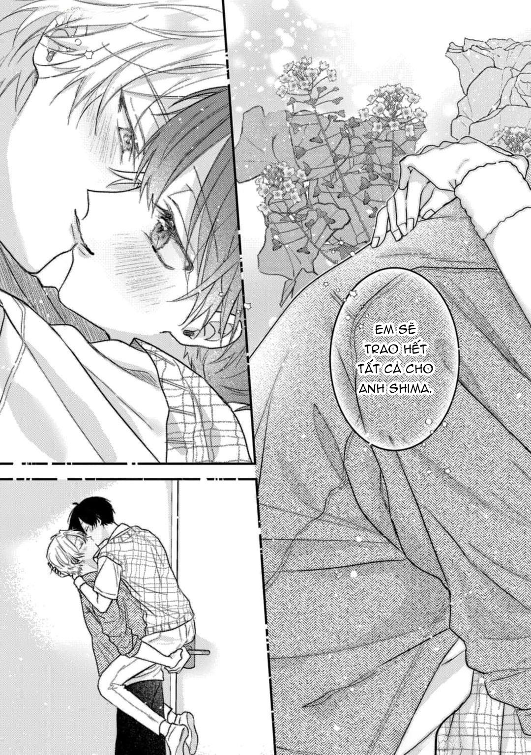 Em Sẽ Trao Hết Cho Anh, Shima - Chap 5