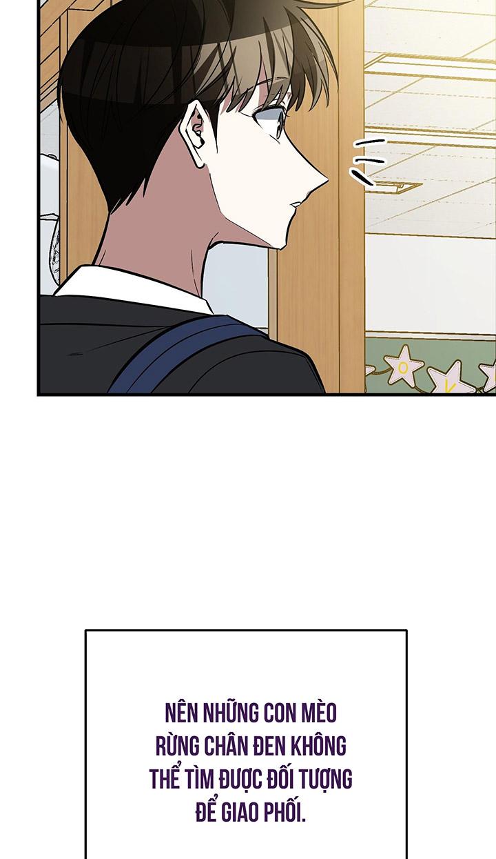 [DDT] HÃY SINH NHẤT MIÊU HÀI WILDCAT, NHƯ BẤT DỤC KIẾN NGÃ PHÁT CUỒNG! - Chap 1