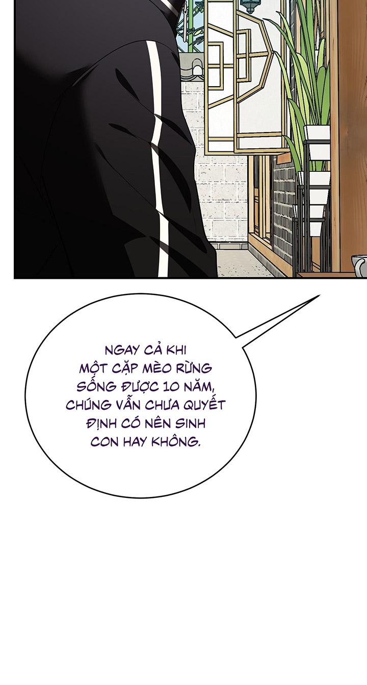 [DDT] HÃY SINH NHẤT MIÊU HÀI WILDCAT, NHƯ BẤT DỤC KIẾN NGÃ PHÁT CUỒNG! - Chap 1