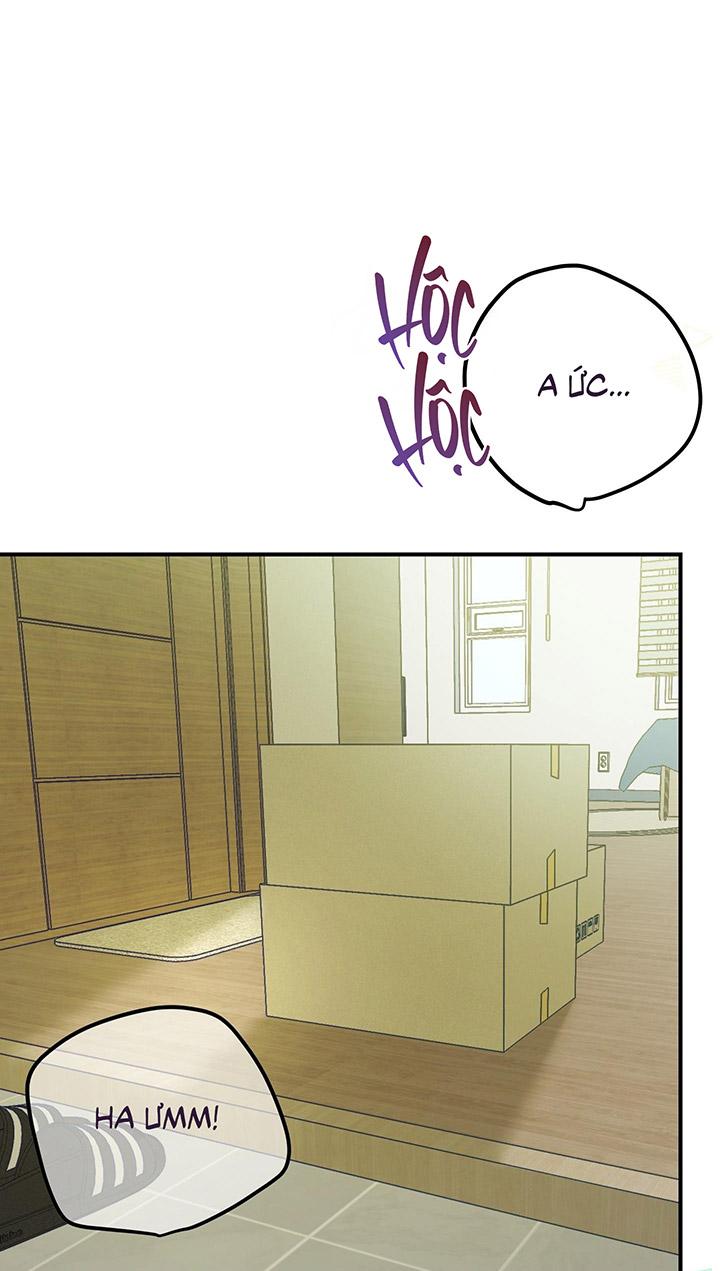 [DDT] HÃY SINH NHẤT MIÊU HÀI WILDCAT, NHƯ BẤT DỤC KIẾN NGÃ PHÁT CUỒNG! - Chap 1