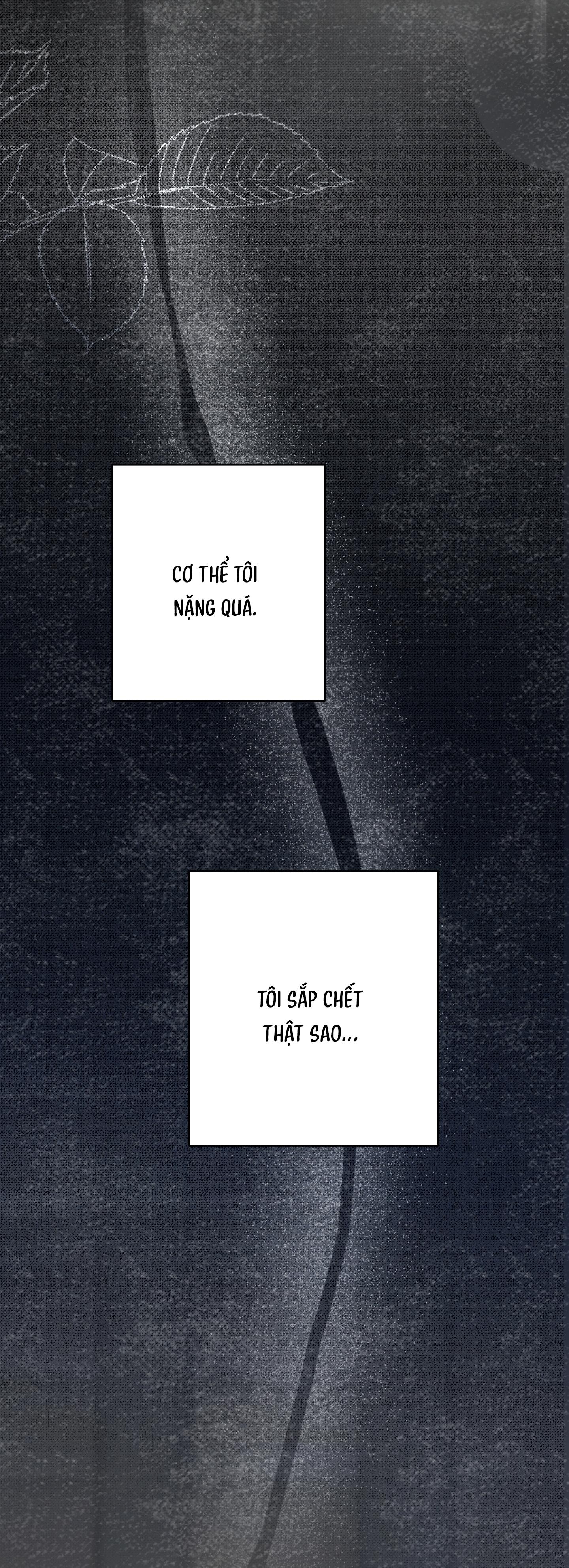 KHI VẬN MỆNH ĐƯA LỐI - Chap 7