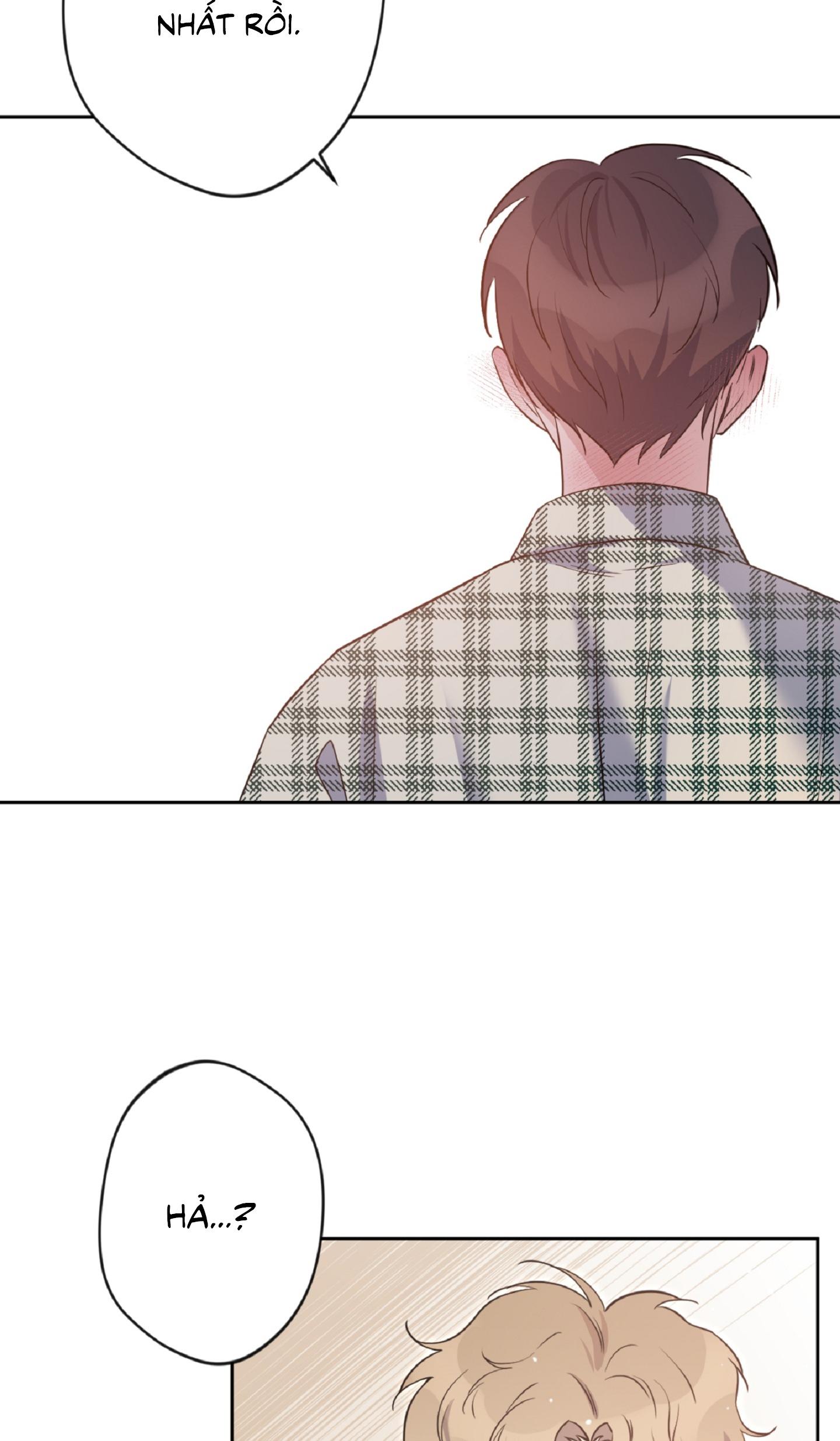 Angel kiss - Chap 19