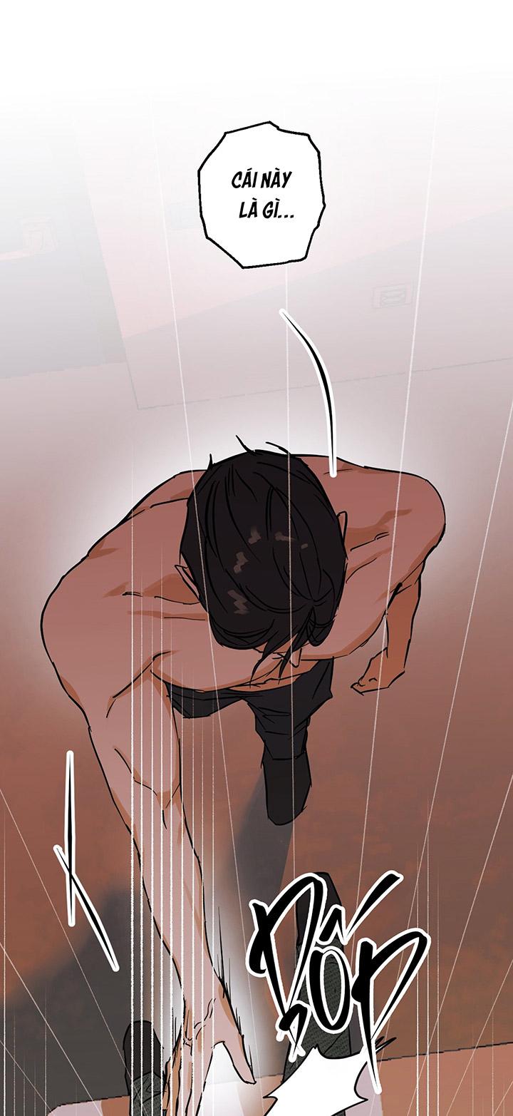 Phiên Bản Hoàn Hảo - Chap 1