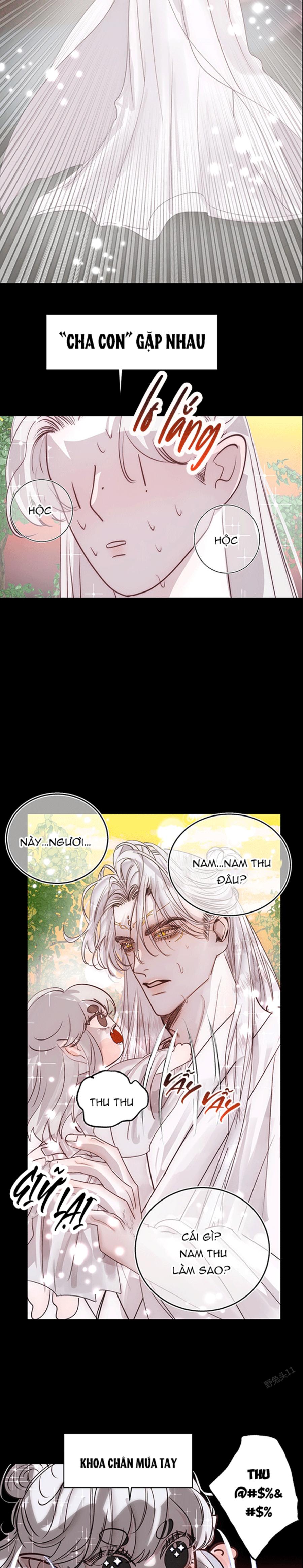 Vài Câu Chuyện Với Sư Tôn Sau Khi Xuyên Sách - Chap 81.1 - Trang 17