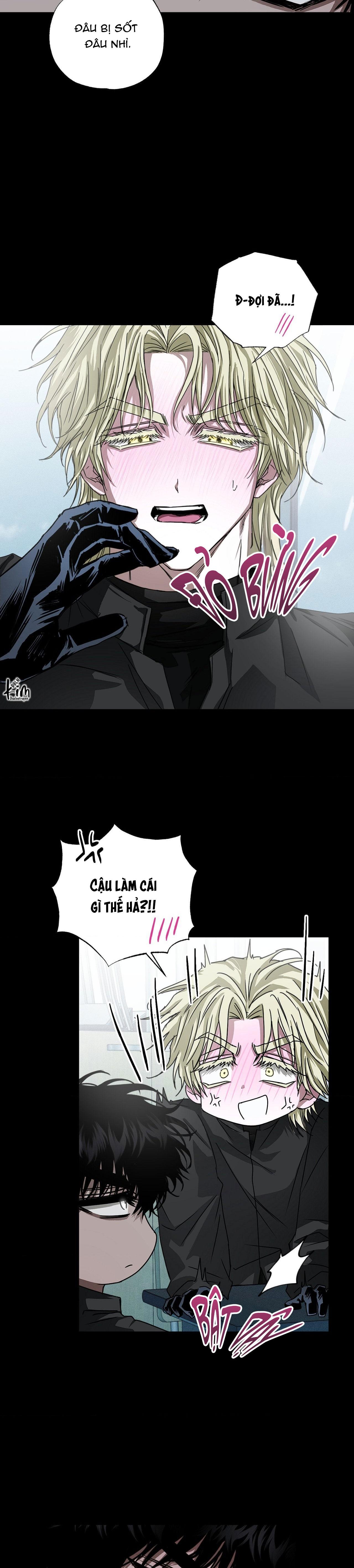 MẮT BÃO - Chap 12