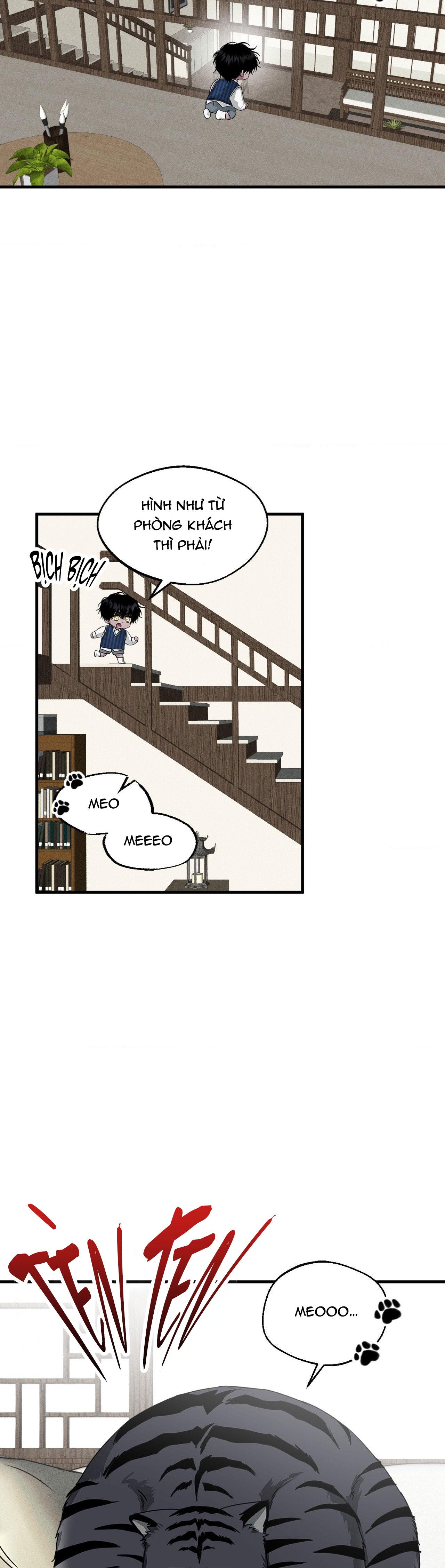 MẮT BÃO - Chap 13