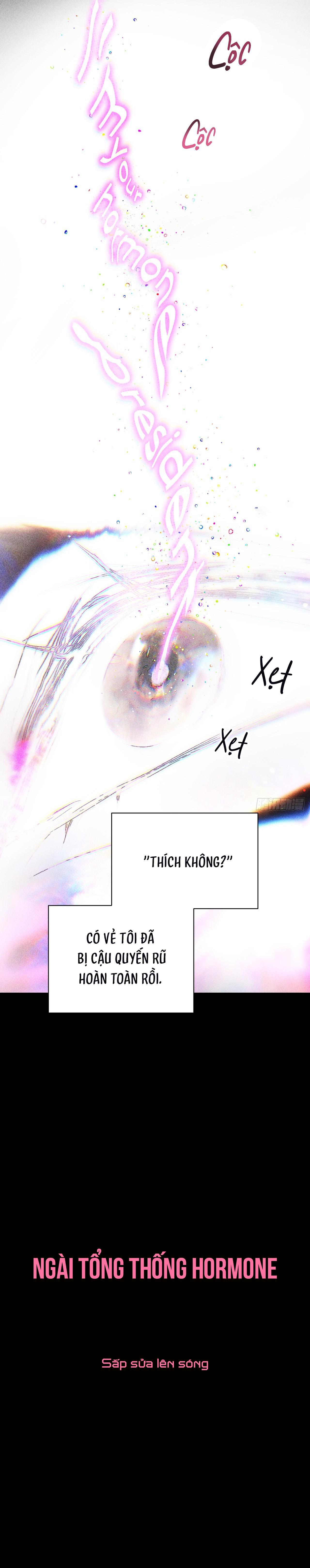 Ngài Tổng Thống Hormone - Chap 0