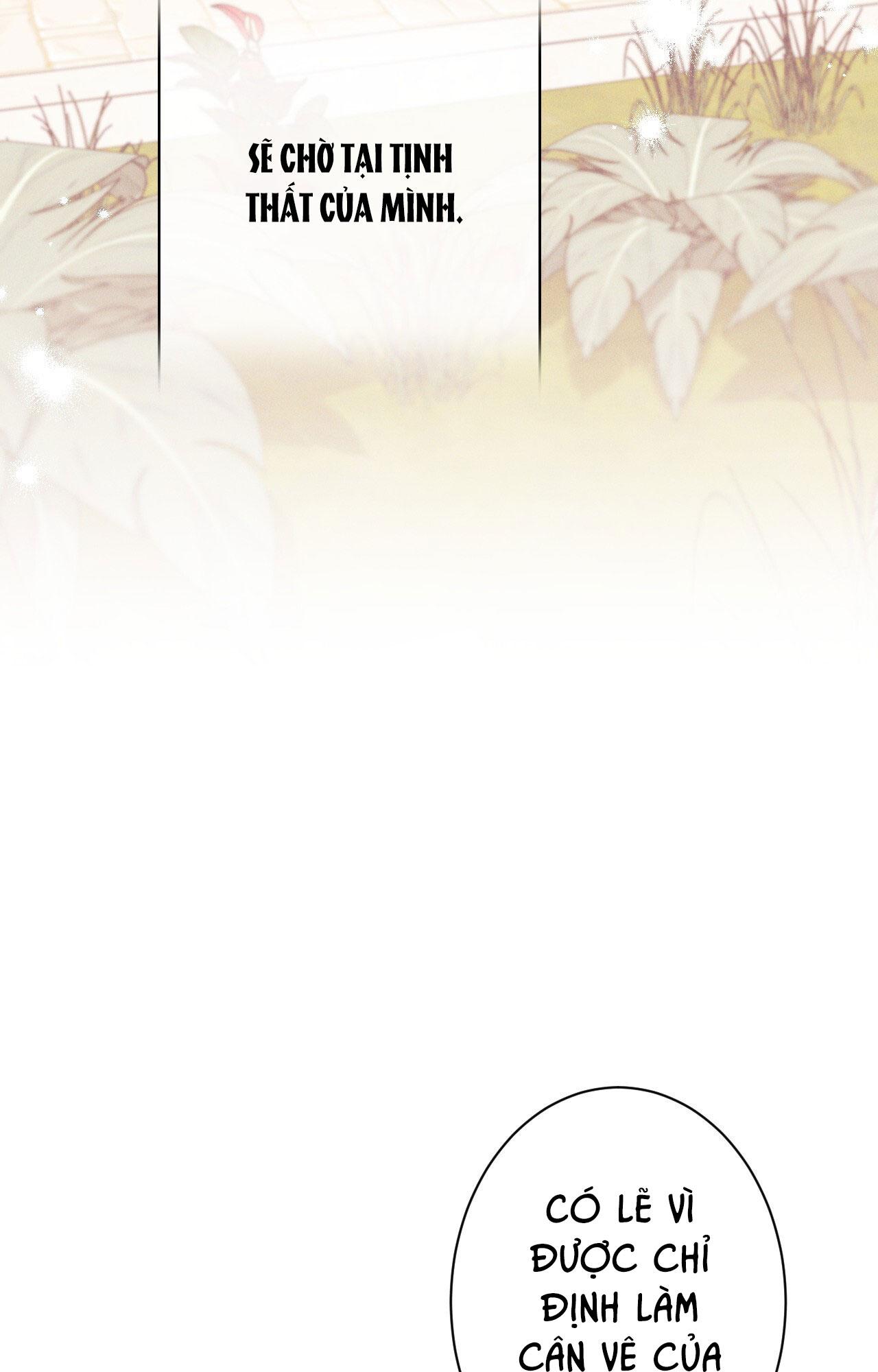 RẮN NUỐT LỰU - Chap 22