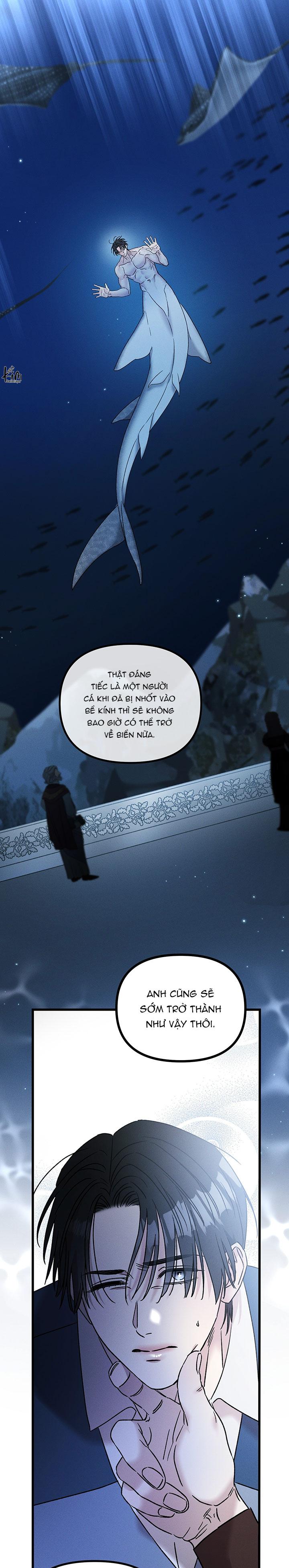 Mermaid's Cradle - Chap 10