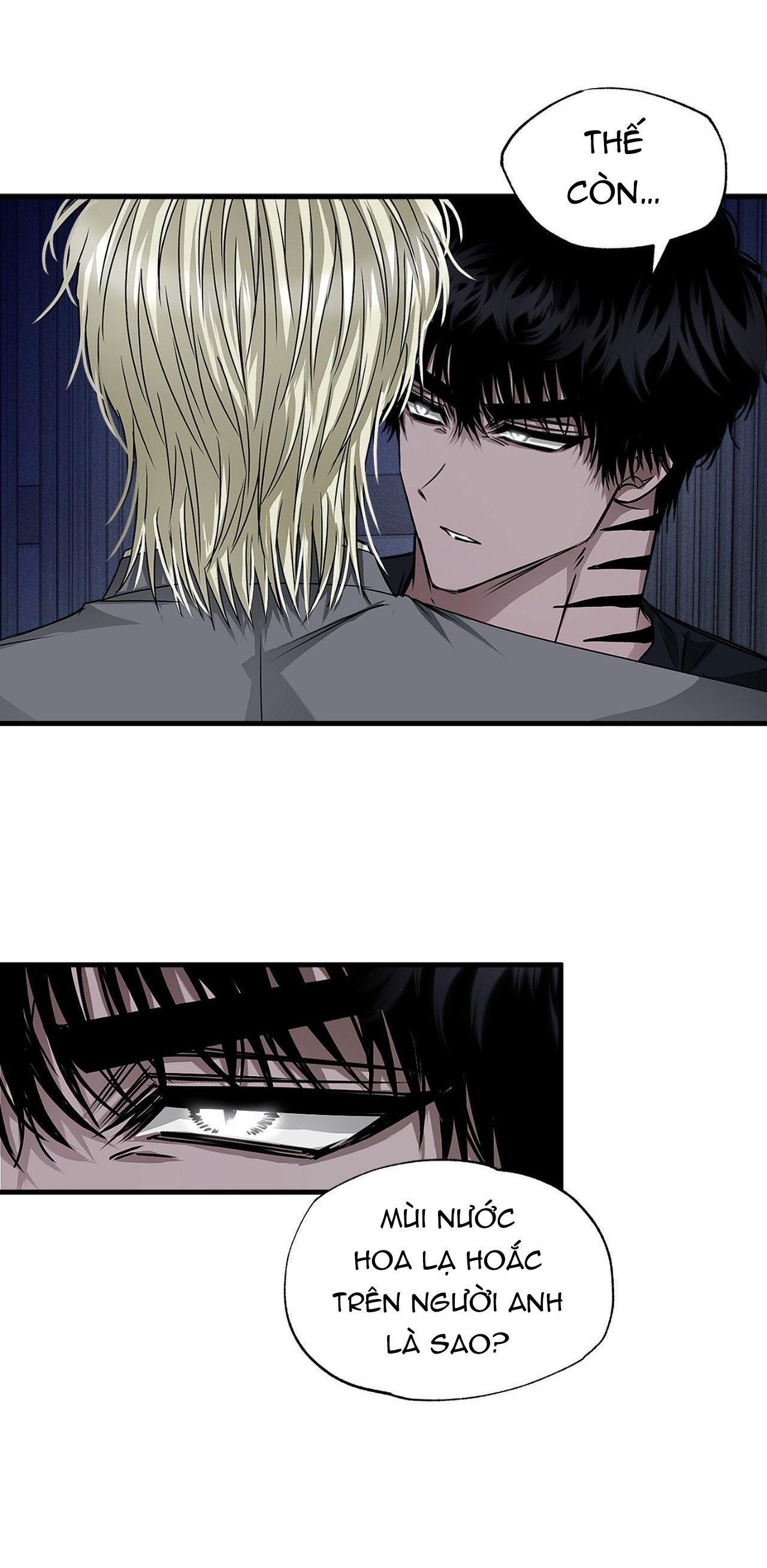 MẮT BÃO - Chap 20