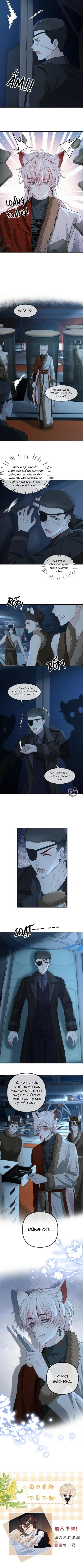 Khát Vọng Ngọt Ngào - Chap 435