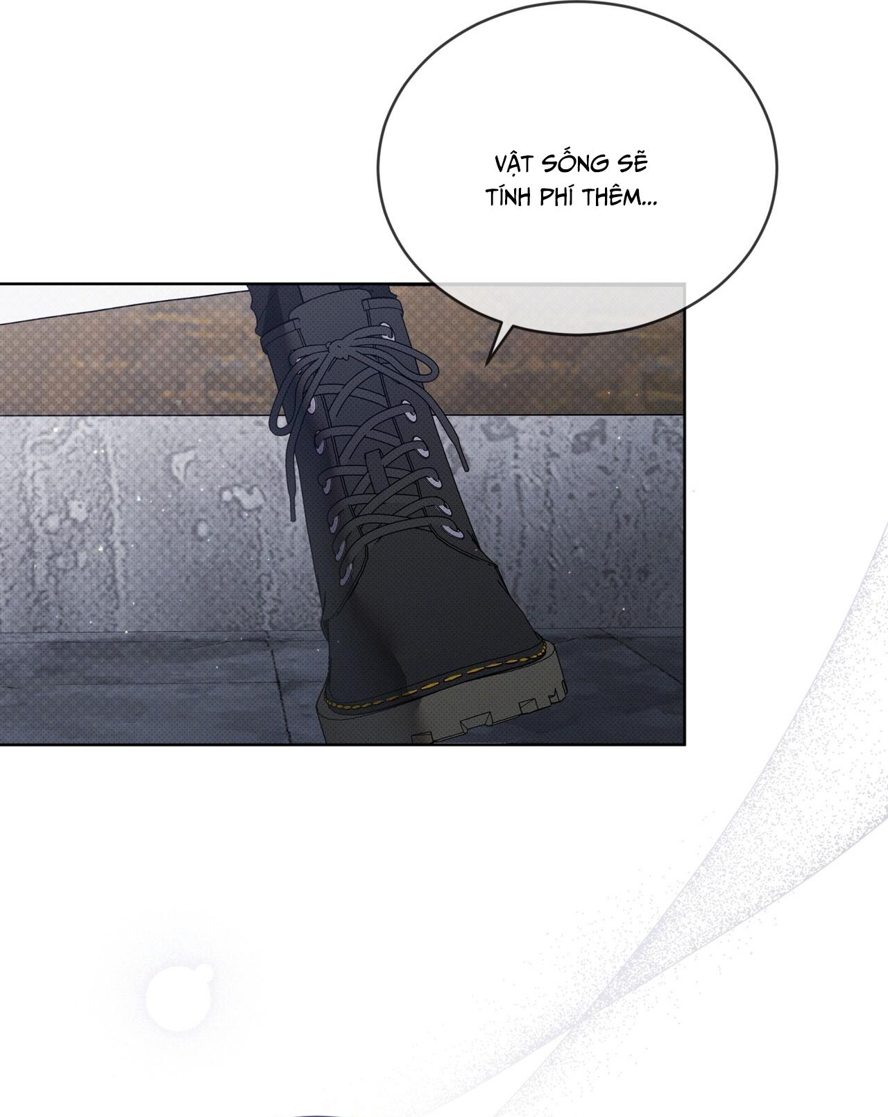 (GĐCV) HÌNH THÁI TIẾN HÓA - Chap 2