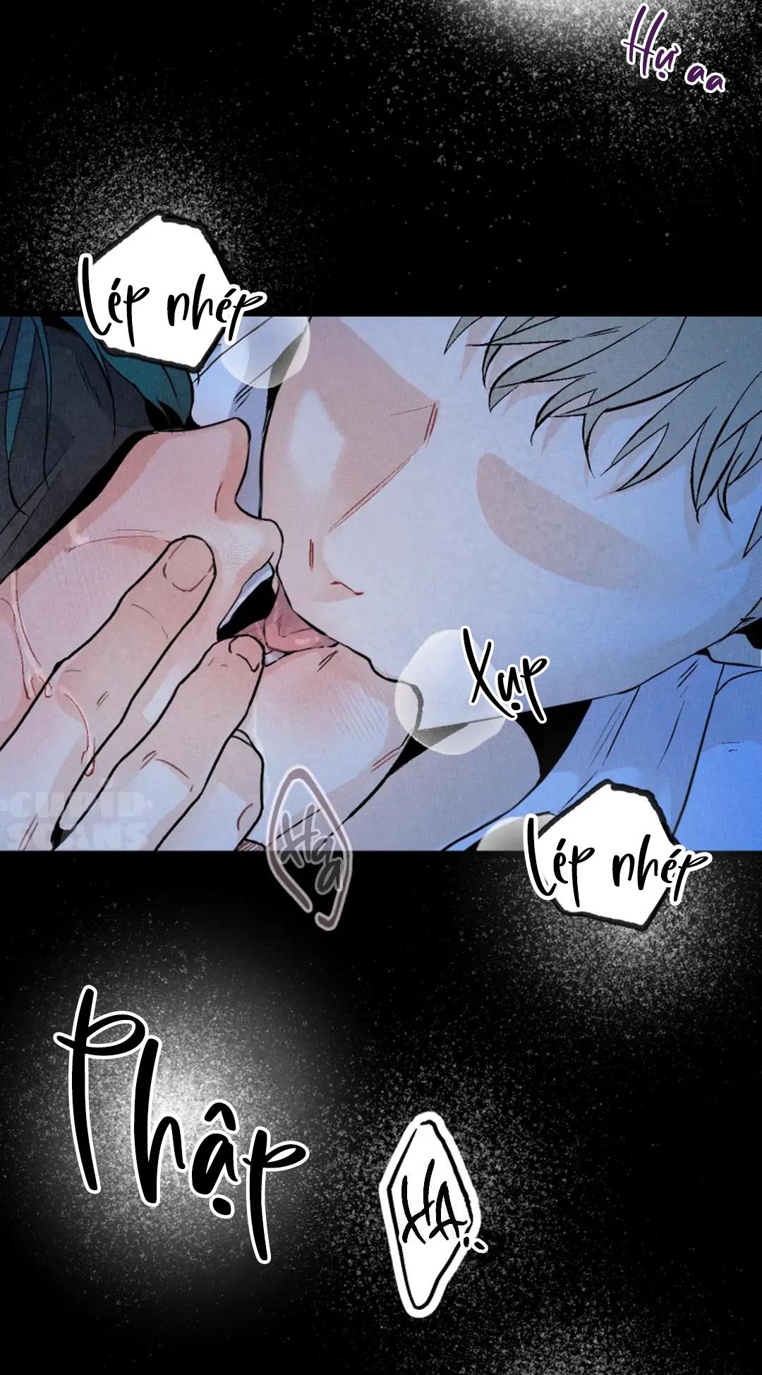 Báo Cáo Chụp Tuyến Tiền Liệt - Chap 7