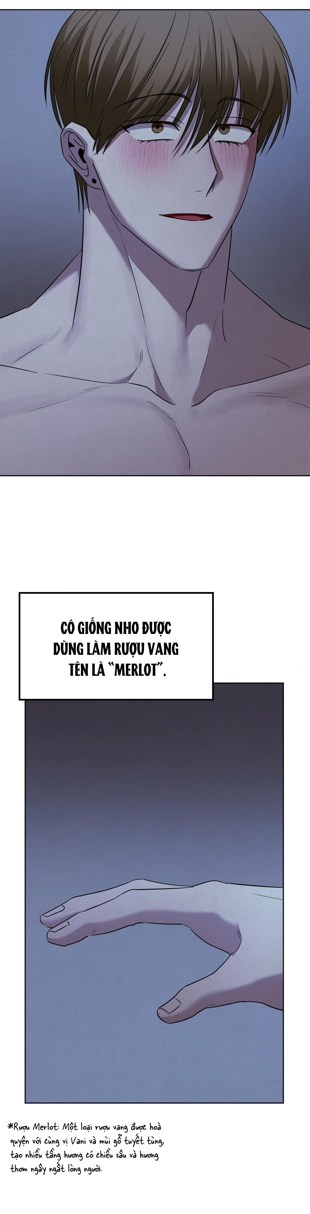 TRANH VẼ - Chap 17