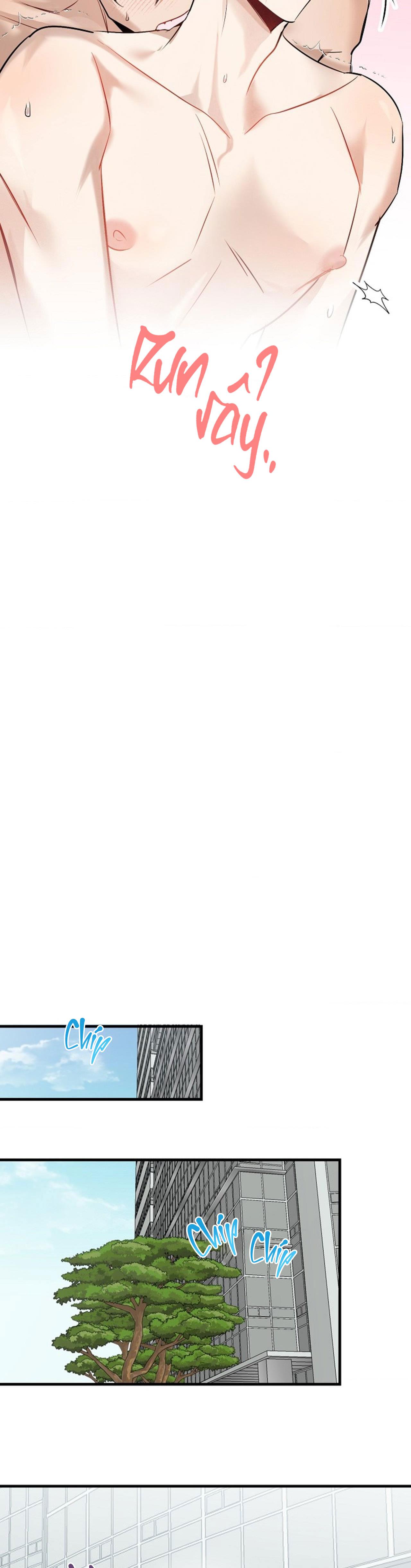 (END) Xin Sếp Phê Duyệt Tối nay - Chap 12