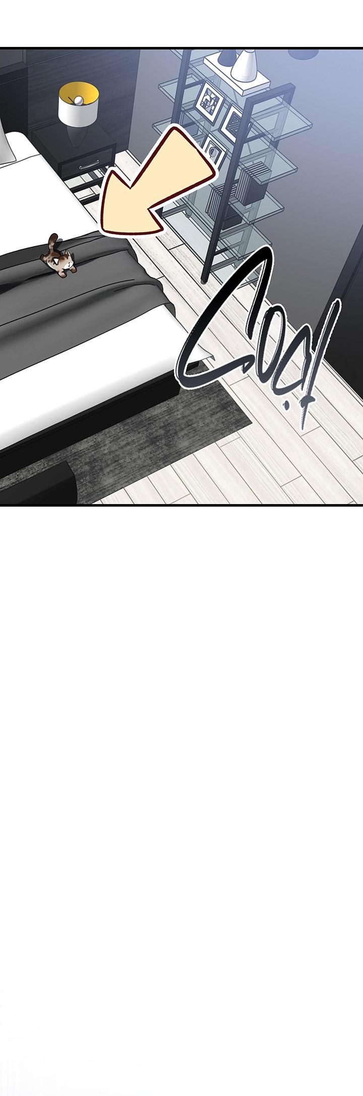 [DDT] HÃY SINH NHẤT MIÊU HÀI WILDCAT, NHƯ BẤT DỤC KIẾN NGÃ PHÁT CUỒNG! - Chap 1