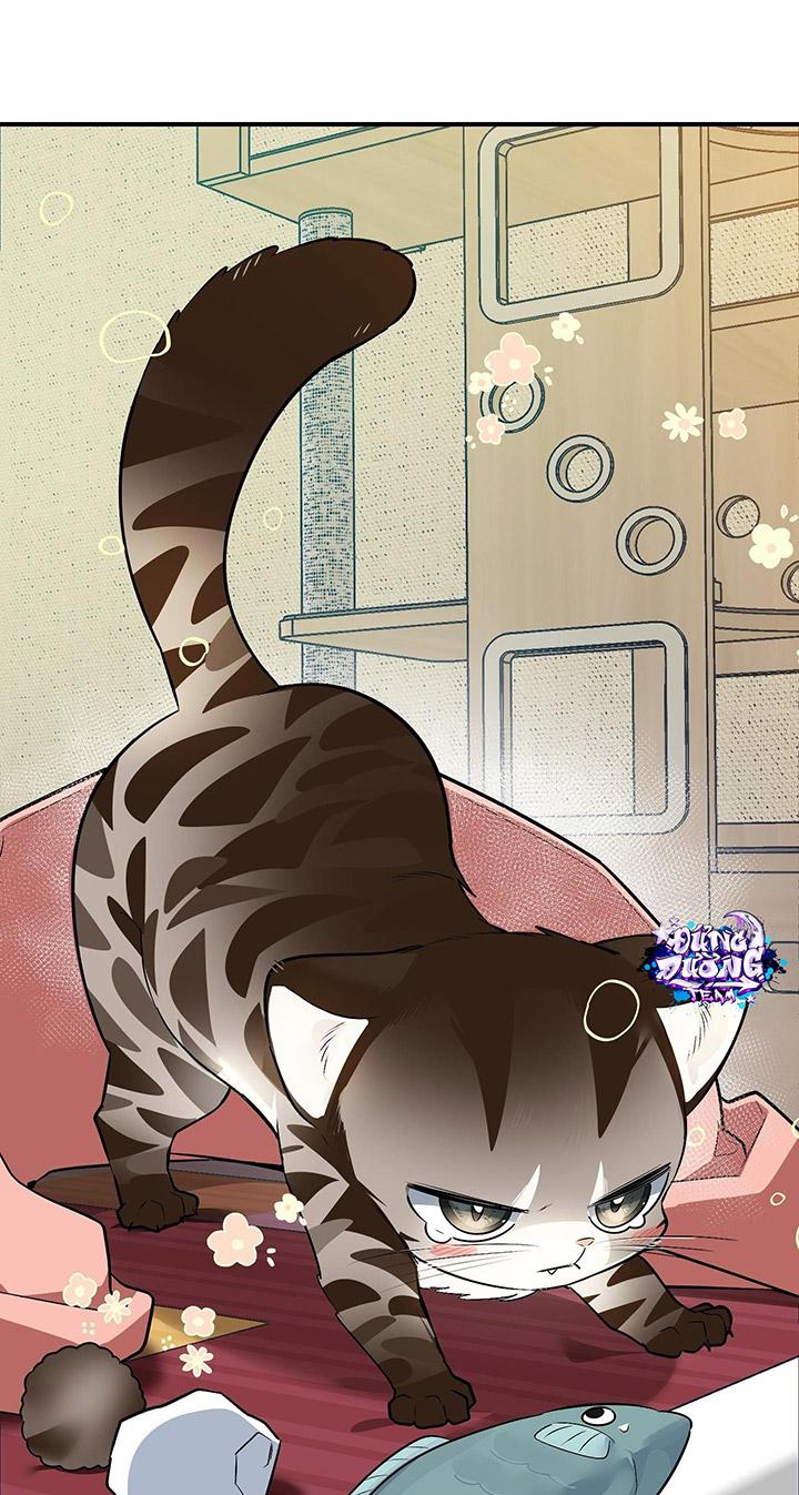 [DDT] HÃY SINH NHẤT MIÊU HÀI WILDCAT, NHƯ BẤT DỤC KIẾN NGÃ PHÁT CUỒNG! - Chap 1