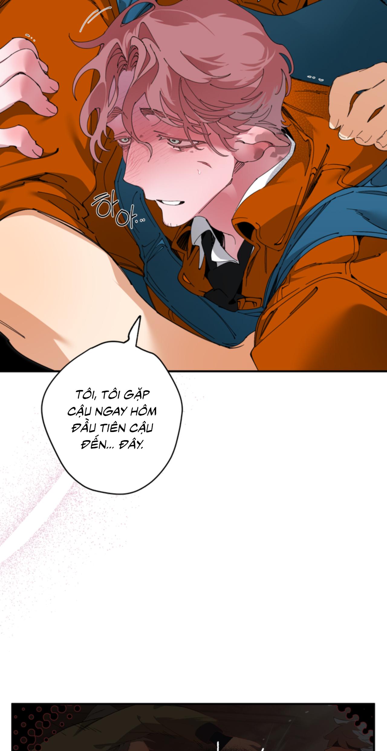 Mr.A's Farm - Chap 15