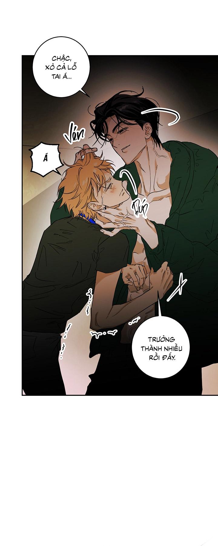 Phiên Bản Hoàn Hảo - Chap 1