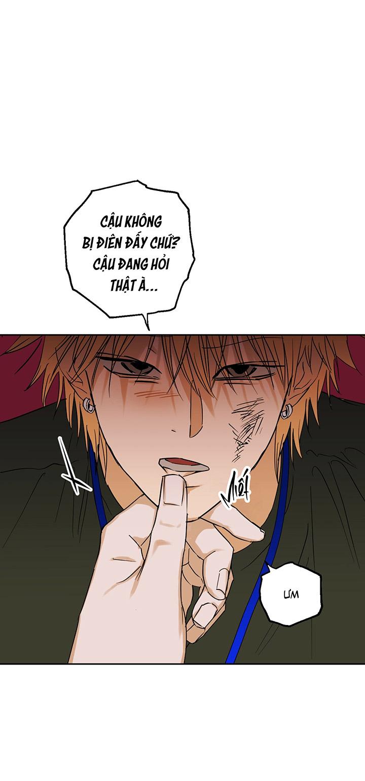 Phiên Bản Hoàn Hảo - Chap 1