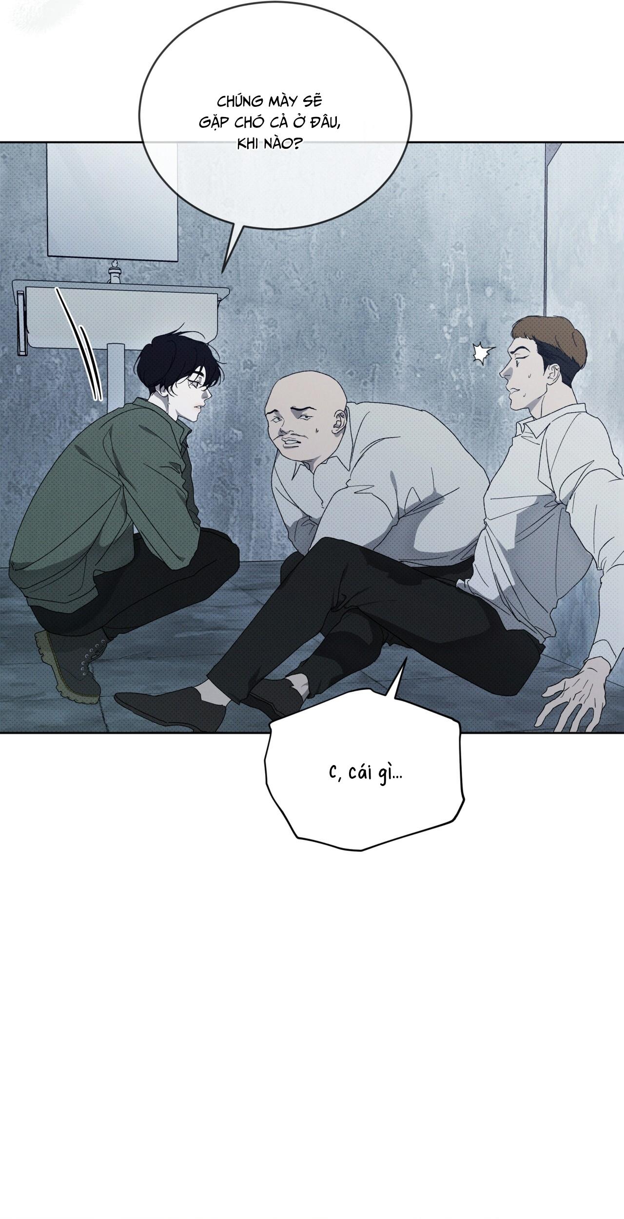 (GĐCV) HÌNH THÁI TIẾN HÓA - Chap 3