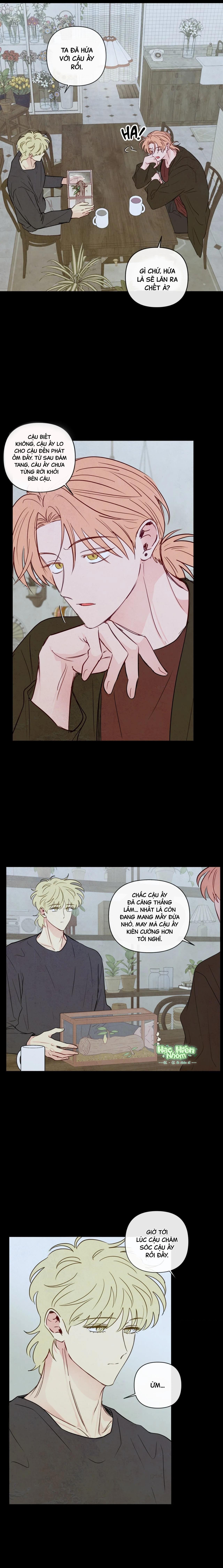 Sự quyến rũ của Thần Rắn - Chap 43