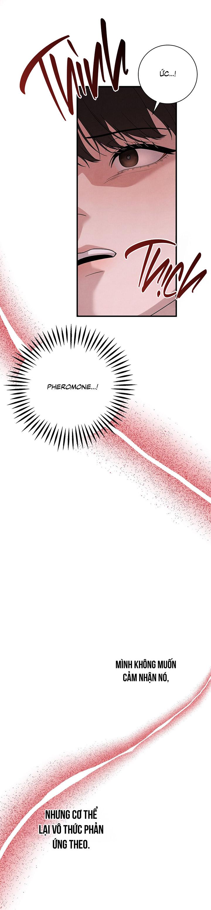 [DDT] HƯƠNG VỊ TÌNH THÂN - Chap 9