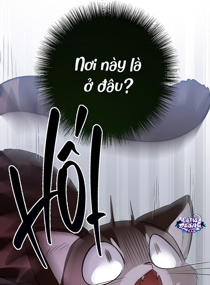 [DDT] HÃY SINH NHẤT MIÊU HÀI WILDCAT, NHƯ BẤT DỤC KIẾN NGÃ PHÁT CUỒNG! - Chap 1